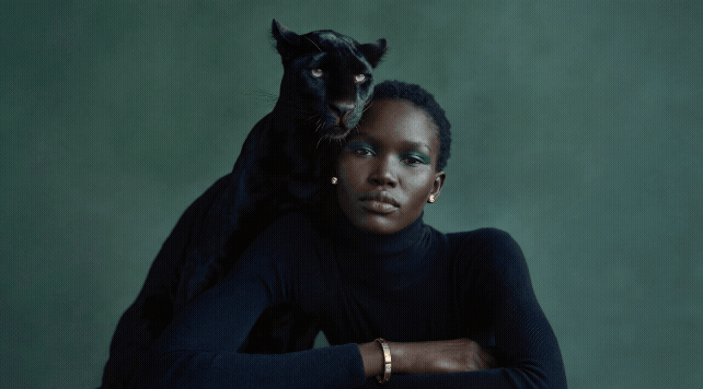 Mood Studios AI - AI-generated fashion visual featuring model with black panther